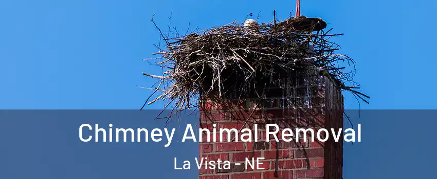  Chimney Animal Removal La Vista - NE