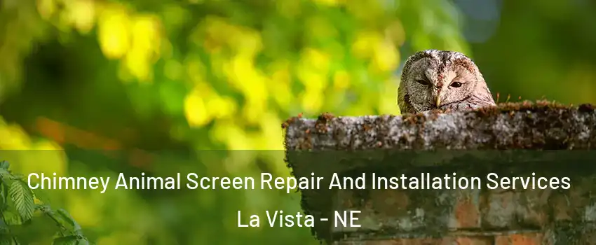  Chimney Animal Screen Repair And Installation Services La Vista - NE