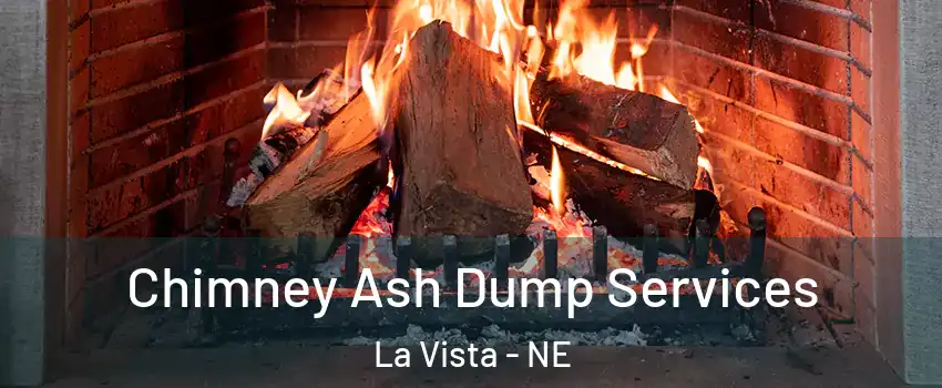  Chimney Ash Dump Services La Vista - NE