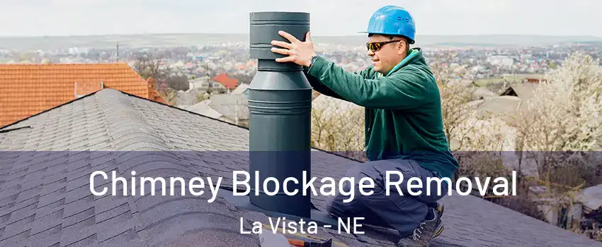  Chimney Blockage Removal La Vista - NE