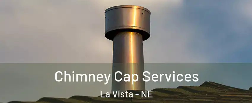  Chimney Cap Services La Vista - NE
