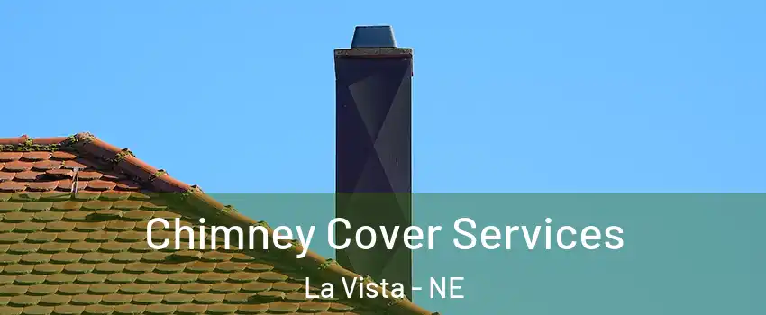  Chimney Cover Services La Vista - NE