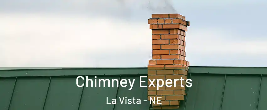  Chimney Experts La Vista - NE
