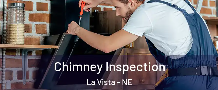  Chimney Inspection La Vista - NE