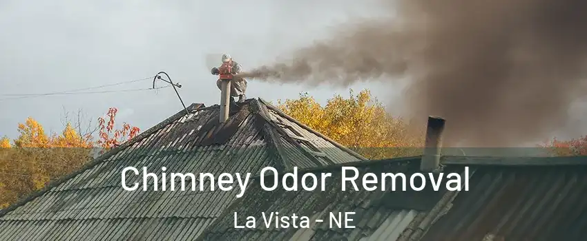  Chimney Odor Removal La Vista - NE