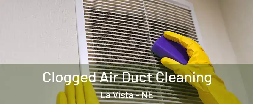  Clogged Air Duct Cleaning La Vista - NE