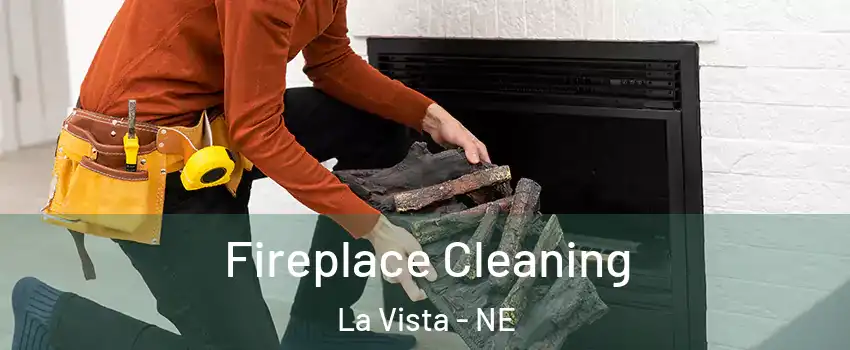  Fireplace Cleaning La Vista - NE