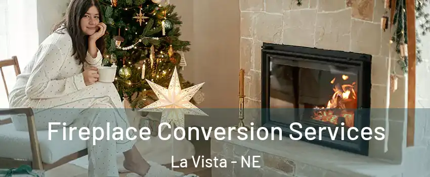  Fireplace Conversion Services La Vista - NE