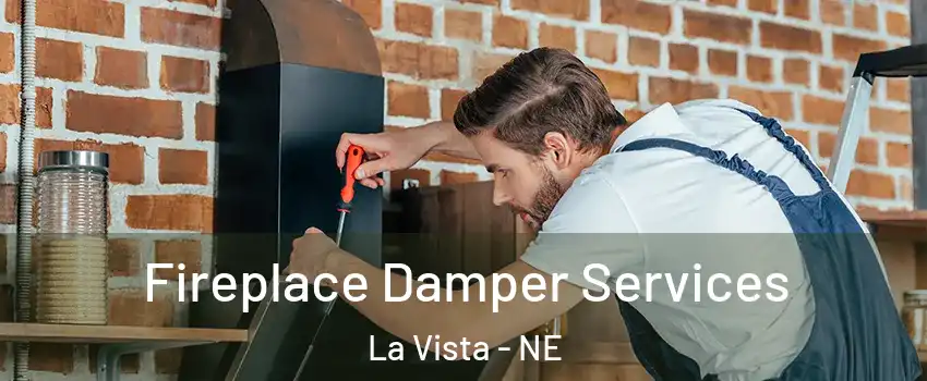  Fireplace Damper Services La Vista - NE