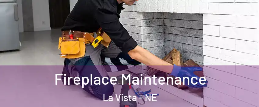  Fireplace Maintenance La Vista - NE