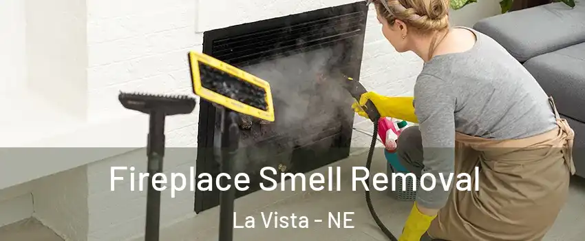  Fireplace Smell Removal La Vista - NE