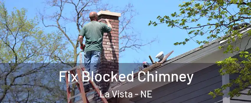  Fix Blocked Chimney La Vista - NE
