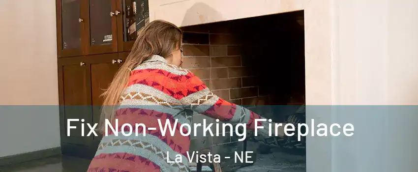  Fix Non-Working Fireplace La Vista - NE