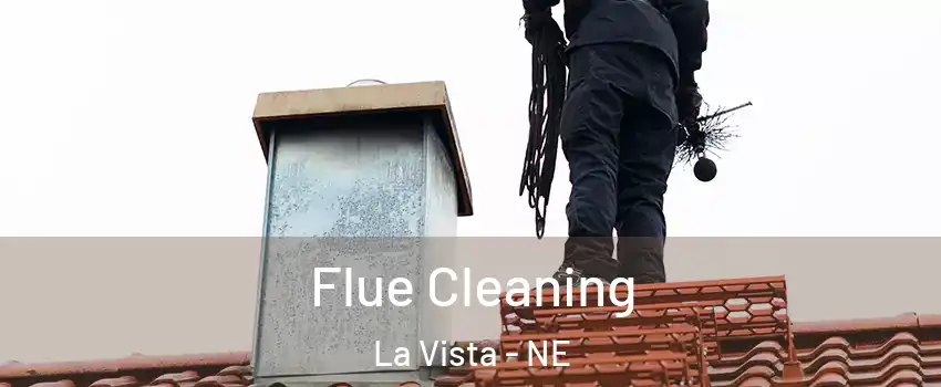  Flue Cleaning La Vista - NE