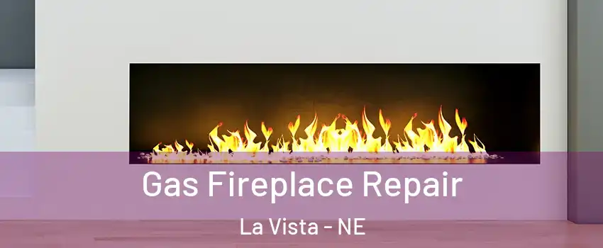  Gas Fireplace Repair La Vista - NE