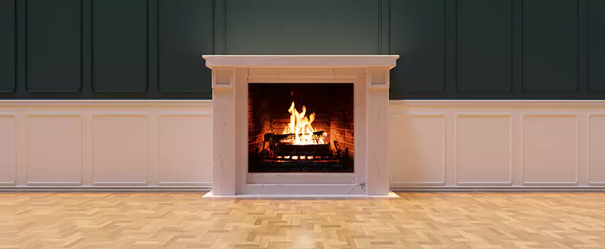 Napoleon Electric Fireplaces Inspection Service in La Vista, Nebraska