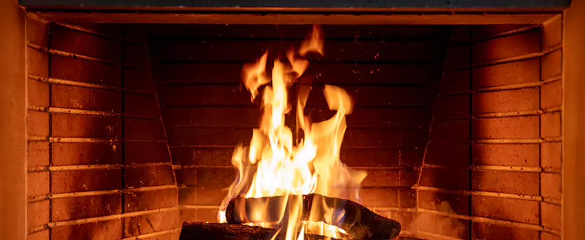 Soot Cleanup Services in La Vista, NE