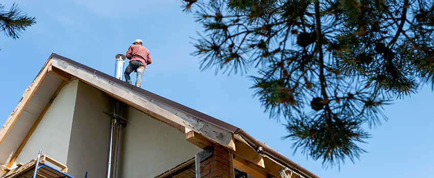 Birds Removal Contractors from Chimney in La Vista, NE
