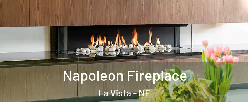  Napoleon Fireplace La Vista - NE
