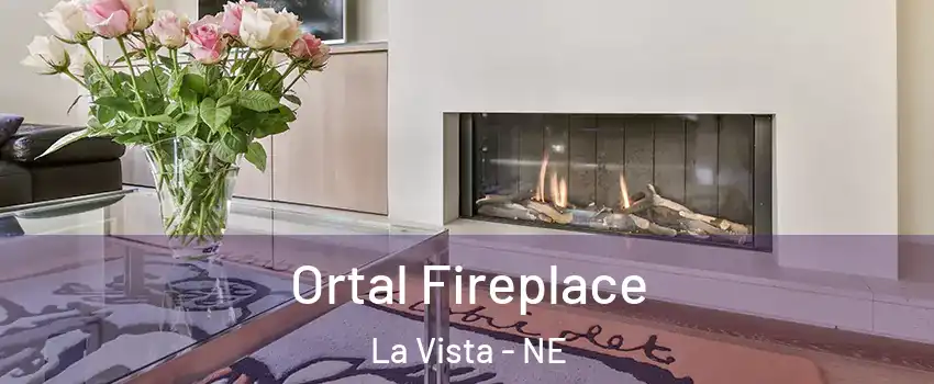  Ortal Fireplace La Vista - NE